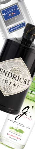Las mejores Ginebras