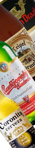 Visita Cervezea