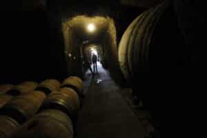 DO León gana 4 medallas en el Cinve-2020 3 Bodegas DO León