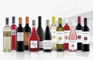 DO León gana 4 medallas en el Cinve-2020 4 Vinos de DO León.