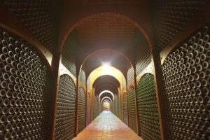 Bodegas Faustino presenta el Pack Faustino Red Wine Experience, 4 vinos de la bodega riojana 4 pasillo-botellero-Bodegas faustino