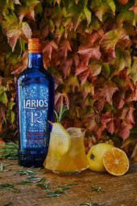 Larios 12 presenta sus cocteles de otoño 2 Brisa de campo, Larios 12.