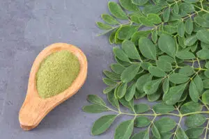 La moringa, 27 % de proteínas y sus aportes a la coctelería 3 Moringa