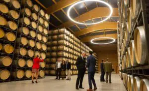 El Pack Barón de Ley Reserva 2015, cuatro botellas de un reserva clásico riojano 3 bodegas de Barón de Ley