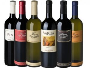 Finca La Anita: 72 hectáreas dedicadas al buen vino 7 Finca La Anita