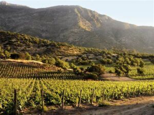 Latinoamérica: 5 rutas del vino para amantes del enoturismo 3 rutas del vino-valle del maipo