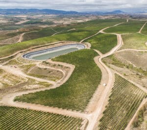 Coto Reserva 2016: un tinto de edición limitada cumple 50 5 2004_finca_los_almendros Coto