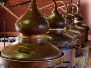 Vinos de Pazo Señoráns: 4 propuestas excelentes para esta Navidad 4 Pazo Señoráns