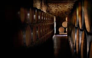 Pittacum 2018, unión de mencías de distintas zonas 4 Bodega Pittacum