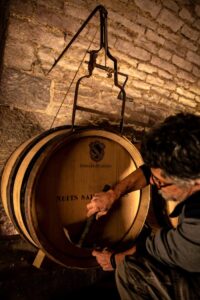 Borgoña 2019: apuntes sobre su informe de cosecha 4 Vinos de Borgoña