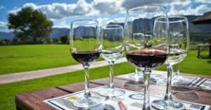 Sudáfrica venderá más de sus vinos en China en 2021 4 Los tintos y blancos de Sudáfrica ya ganan adeptos en China y otras partes