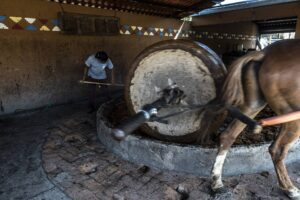 El mezcal: de brebaje maldito a las mejores mesas 1 4 destilerías en Matatlán