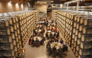 Ampliación de la bodega luego de una inversión de 15 millones de euros