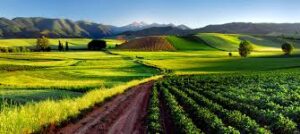 La Asociación de la Industria Auxiliar del Vino de La Rioja 3 AsociacionIndustriaAuxiliar en La Rioja