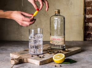 Gin MG: ginebra española de 75 años y tendencias de mercado 4 Gin-mg