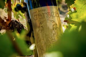 Los vinos Linaje Garsea son envolventes, intensos y potentes 5 linaje garsea