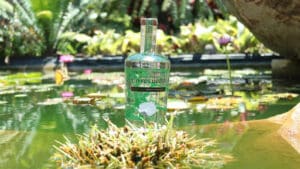 Río Revuelto Ensamble: un elixir entre los mezcales 4 Río Revuelto, mezcal de 46º de volumen de alcohol