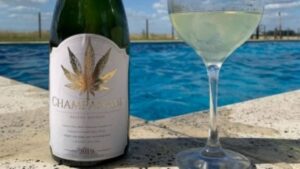 Champagne con cannabis y la clausura de una bodega argentina 4 "Champanabis", es una bebida que mezcla espumante con marihuana.