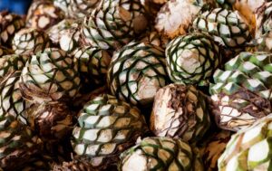 El Tequila & Mezcal Masters 2021 tuvo lugar de forma remota 6 Una serie de mezcales fueron puestos a prueba de sabor.