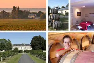 Valle del Loira: el mejor lugar para beber vino en Francia 5 Lugares especiales del Valle del Loira