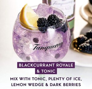 Tanqueray Blackcurrant la nueva ginebra de Tanqueray gin ¿la 1ª Ginebra con botánico de orquídeas negras? 4 Tanqueray Blackcurrant la nueva ginebra de Tanqueray gin ¿la 1ª Ginebra con botánico de orquídeas negras? 1