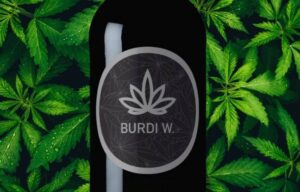 Burdi W