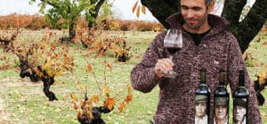 Matsu: vuelve la saga de vinos más famosa de Vintae en Toro 4 Un pack irresistible: Matsu
