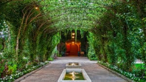 Caymus Vineyards: confesiones de Chuck Wagner desde un viñedo 100% familiar 3 Caymus Vineyards