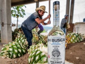 Stoli Group tiene grandes esperanzas en su marca de mezcal Se Busca 3 Stoli Group