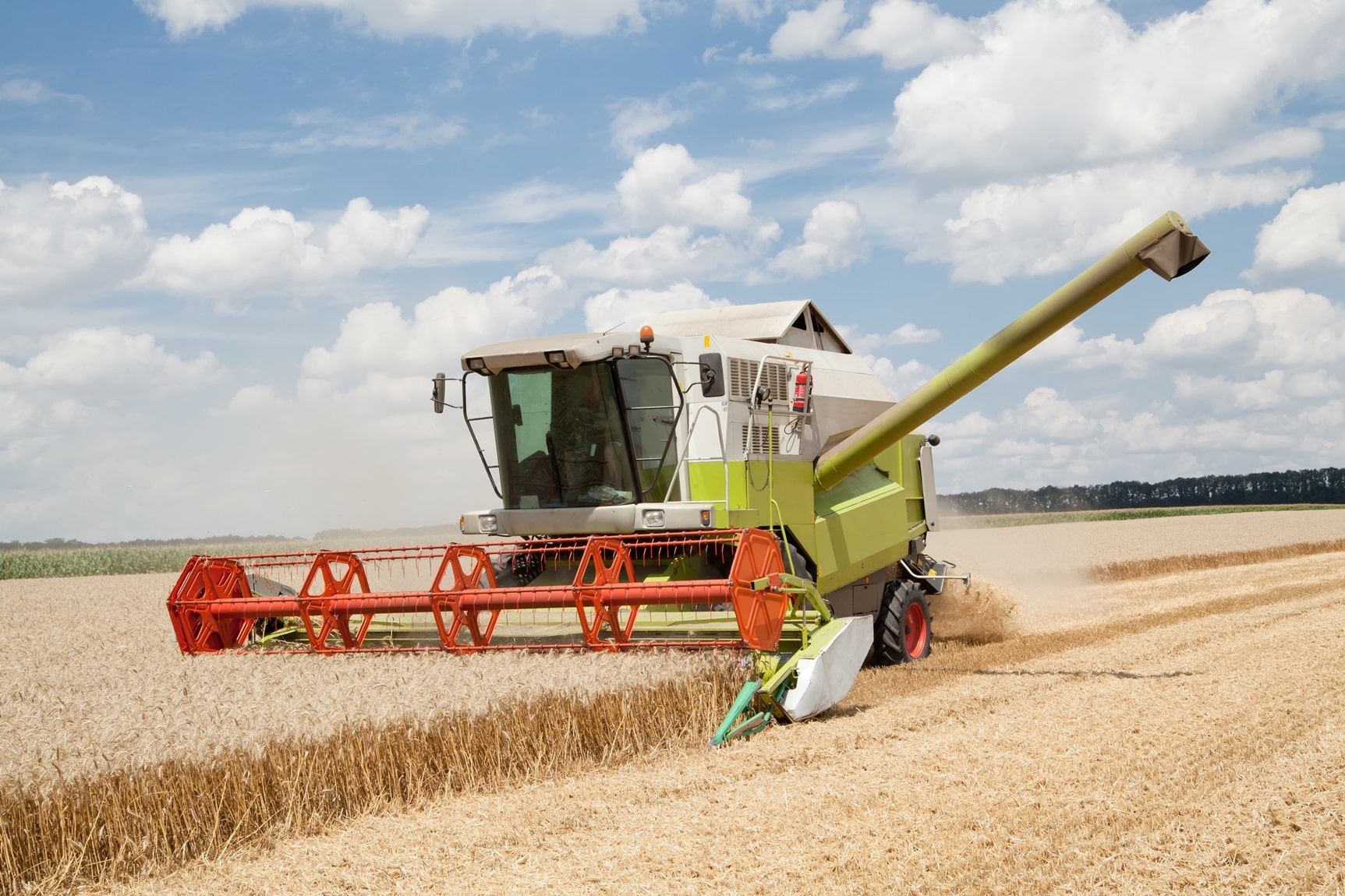 Combine working on a wheat field licorea es