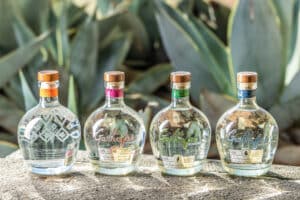 mezcal