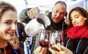Vinos tintos jóvenes: sistema de vinificación, ¿maceración carbónica o despalillado? 3 Lapuebla de la Barca