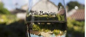 Vino de Galicia: la búsqueda de las raíces para lograr la autenticidad 7 Vino de Galicia: la búsqueda de las raíces para lograr la autenticidad 3