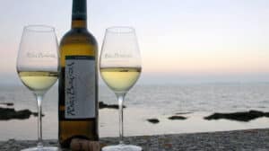 Vino de Galicia: la búsqueda de las raíces para lograr la autenticidad 6 típico vino de Galicia