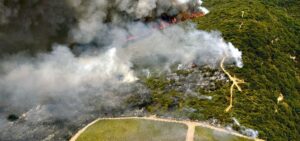 Producción mundial de vino en 2020 y algunas cifras de 2019 5 Afectaciones de los incendios forestales en la producción mundial de vino.