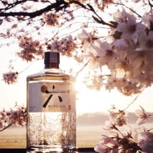 Roku Gin