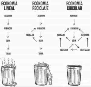 Economía circular en la industria escocesa de whisky: uso de la biotecnología 6 economía circular