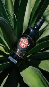 Empresa Havana Club prevé crecer pese a la pandemia 4 Havana Club