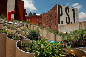 Viñedos urbanos: buen vino en terrazas de 45 metros cuadrados 3 Public Farm One
