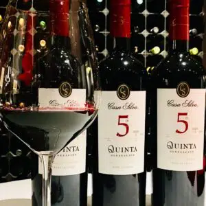 Casa Silva Quinta Generación: vino con aroma a ciruelas, moras, arándanos... 5 Casa Silva