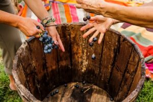 María Cristina Jarrín y su vocación por el vino 4 vino ecuatoriano