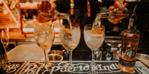 Guadalquivir de Puerto de Indias: ginebra con gran armonía de sabores 4 La ginebra