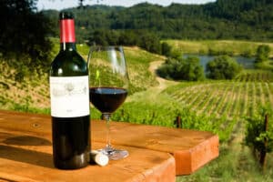 Ruta del Vino de Baja California: zona que concentra el 80% de la producción de vinos nacionales 5 Ruta del Vino de Baja California: zona que concentra el 80% de la producción de vinos nacionales 3