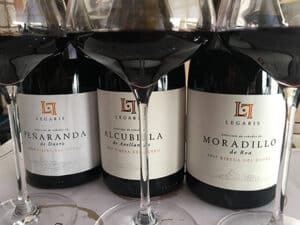 Peñaranda de Duero 2017: vino que “traslada la tipicidad de la región” 4 La colección ‘Vinos de Pueblo’