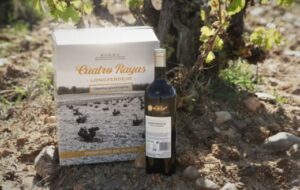 Cuatro Rayas: grandes verdejos llenos de frescura 4 Bodega Cuatro Rayas