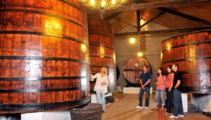 El vino aragonés El vino aragonés
