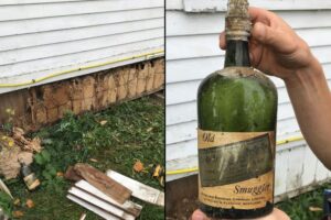 botellas antiguas de whisky botellas antiguas de whisky