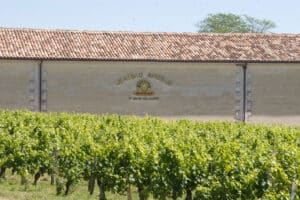 Chateau Angelus Chateau Angelus