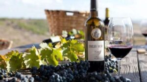 Finca Resalso 2020 Finca Resalso 2020