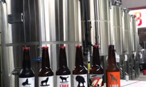 Cerveza Loba Cerveza Loba